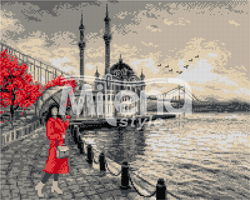 Истанбул-ARIADNA